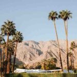 restaurants in palm springs